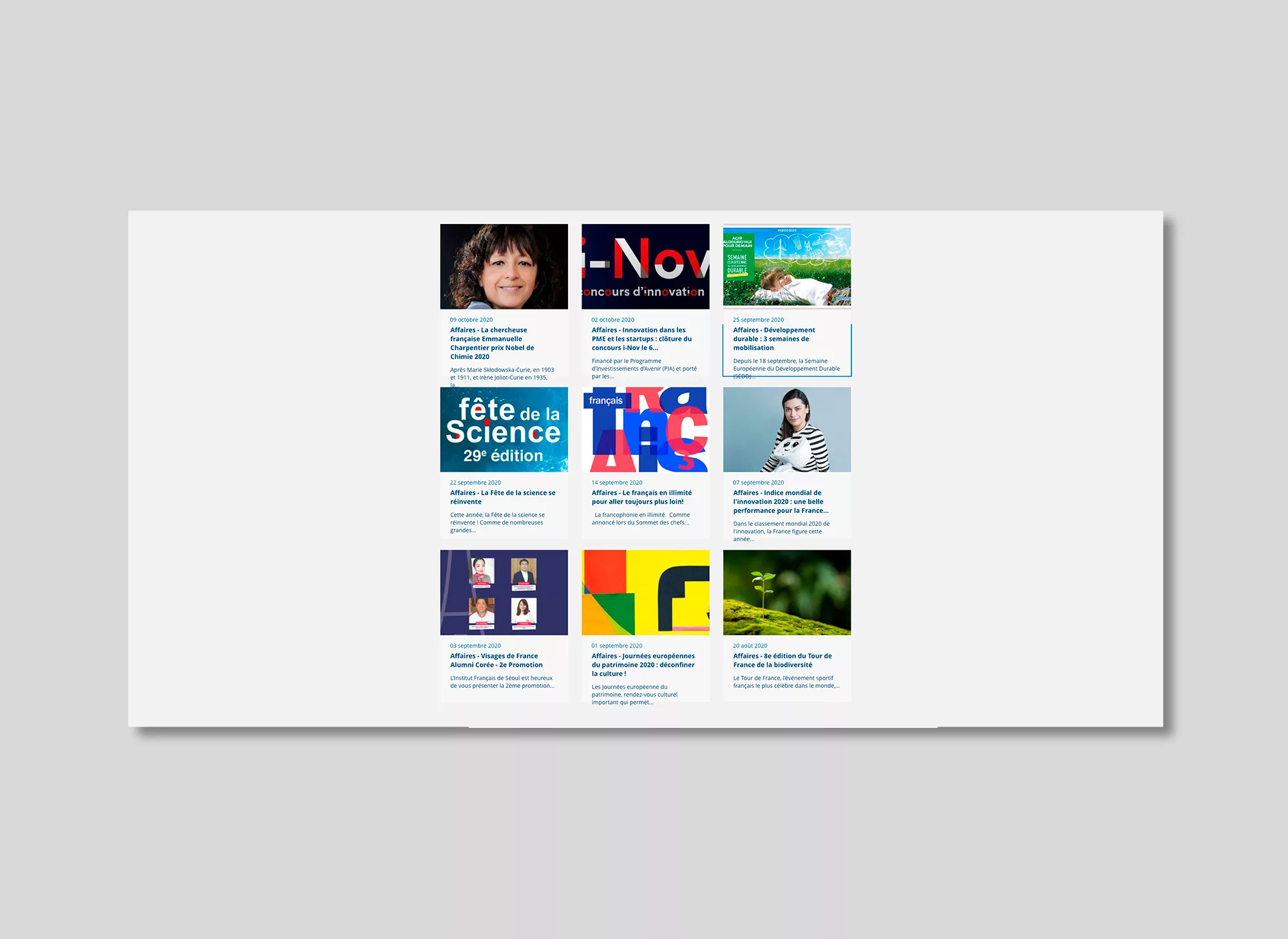 animation-site-internet-animal-pensant-france-alumni-4