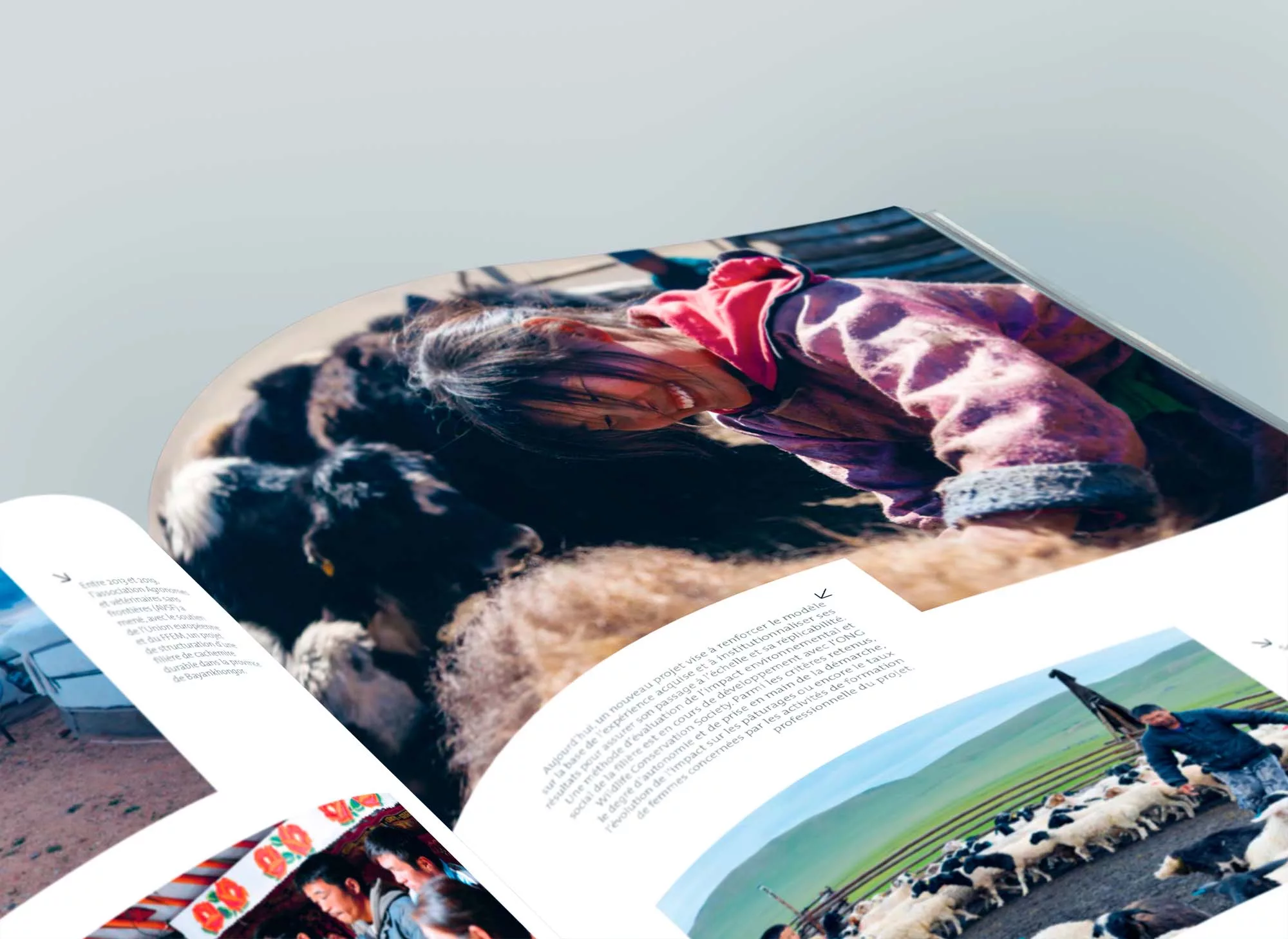 rapport-activite-2020-animal-pensant-FFEM-1