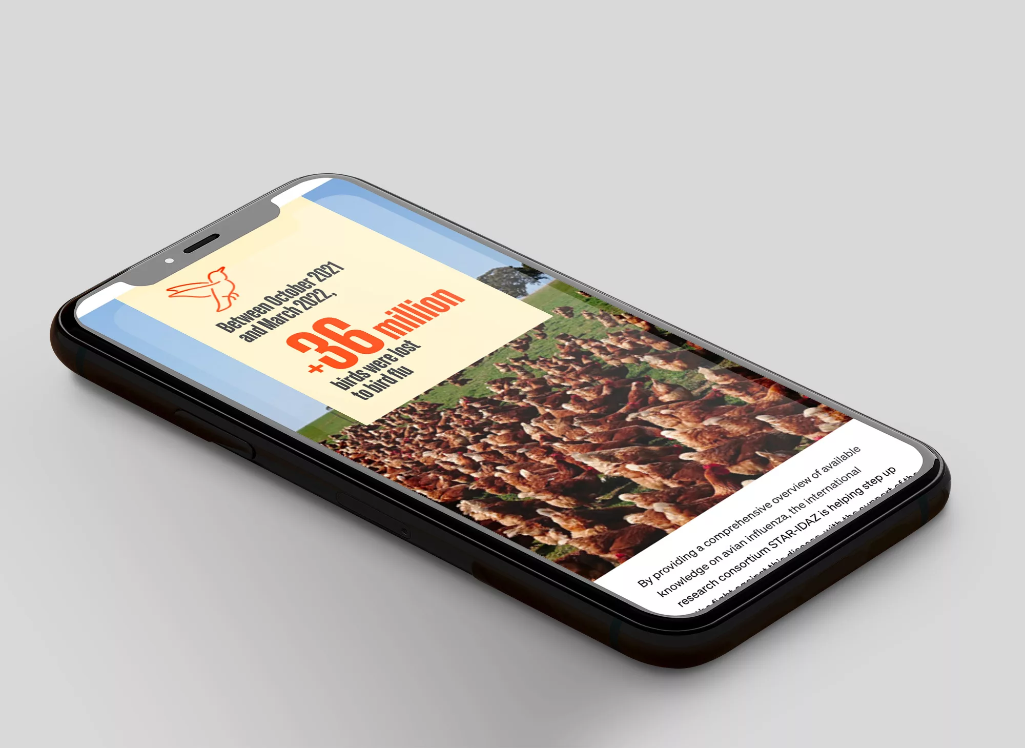 woah-rapport-activite-2021-web-animal-pensant-2