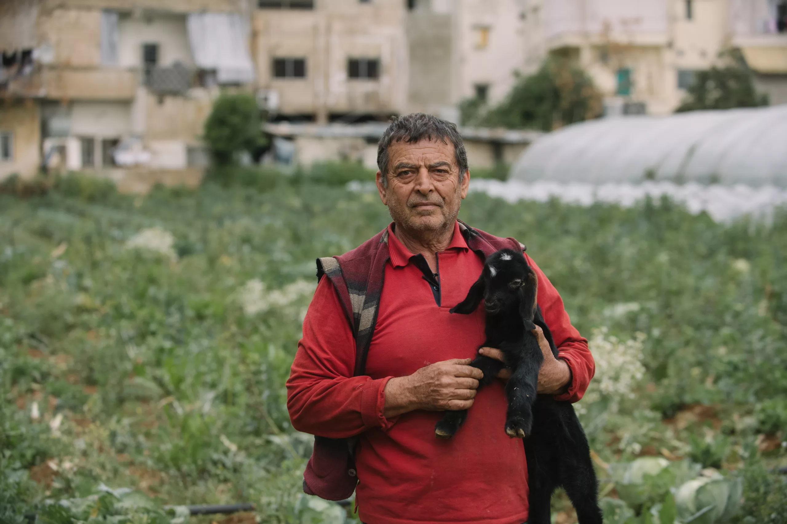 Reportage photo et vidéo au Liban | Animal pensant pour l&rsquo;Organisation mondiale de la santé animale