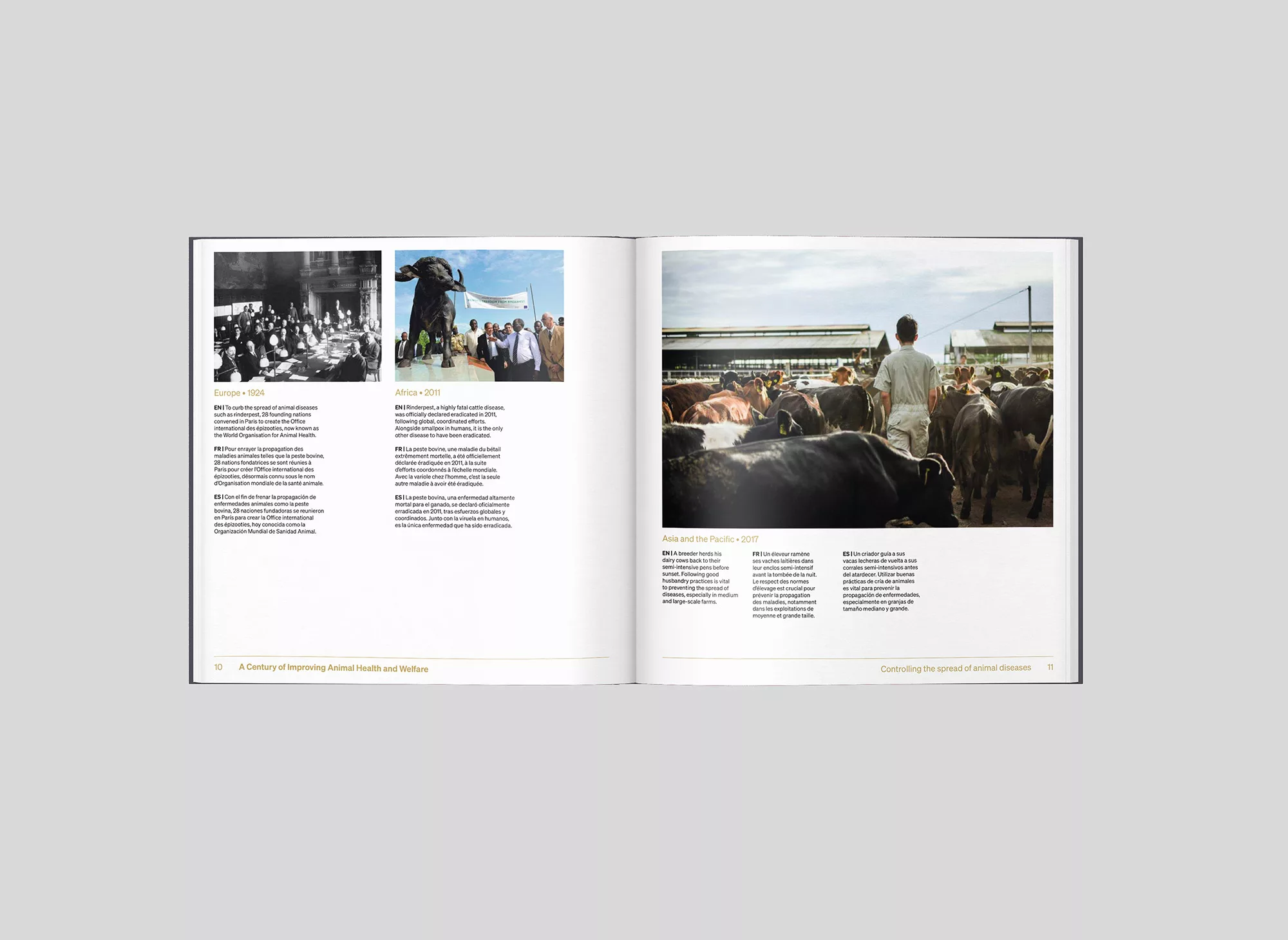 Livre photo centenaire OMSA – Animal pensant